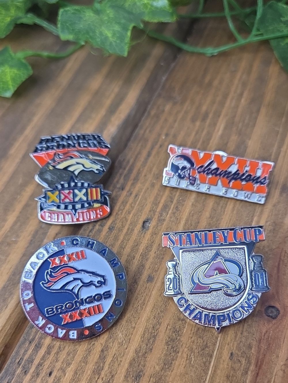 Denver Broncos And Avalanche Pins. Collectable. Like New